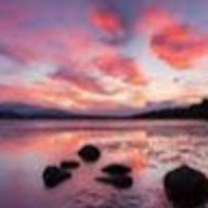 Meet your Posher, Brooklynn